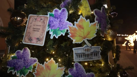 Уникальные ёлки Липецкой земли украсили центр Ельца