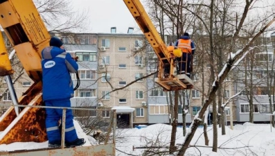 150 участков Липецка расчистят от сухих деревьев