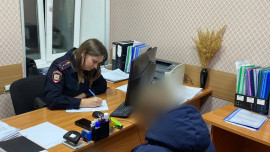Школьник украл роутер из дачного домика в Чаплыгинском районе