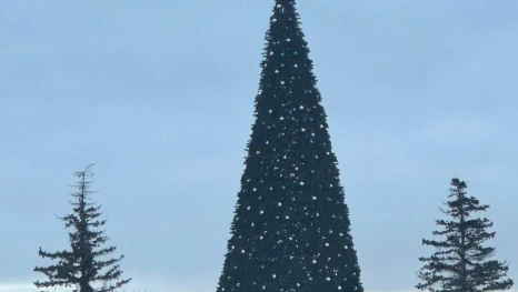 Новогодняя елка на Соборной площади в Липецке «поклонилась» ветру