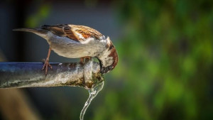 Плановые отключения холодной и горячей воды. Адреса