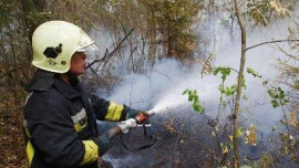 Олег Королёв утвердил сводный план тушения лесных пожаров