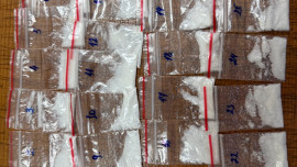 325 граммов метилэфедрона пыталась продать в Липецке уроженка ближнего зарубежья 