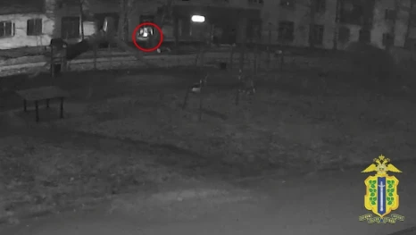 В Липецке за поломку домофона и кражу вещей задержали мужчину 