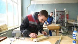 450 участников из Липецкой области вышли в региональный этап конкурса «Профессионалы»