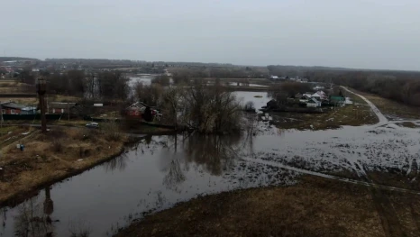 Подъем воды в реке Дон вынудил убрать понтонный мост в Липецкой области