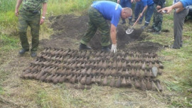 Арсенал боеприпасов жители Тербунского района нашли на огороде