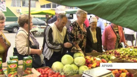 Овощи заметно подешевели в Липецкой области