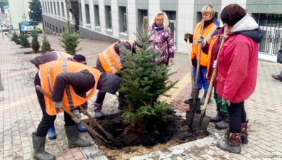 На улице Советской в Липецке сажают ели