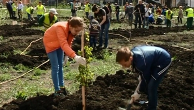 Юные экологи примут участие в озеленении города