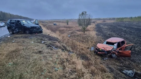 Водитель погиб в тройном ДТП в Липецкой области