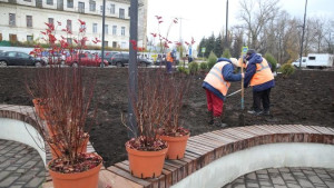 У Комсомольского пруда в Липецке сажают барбарис, сирень и можжевельник