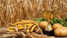 Липецкая область экспортировала сельхозпродукцию на сумму свыше 309 млн долларов