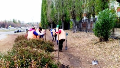 В Липецке сажают цветы, кустарники и деревья