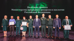 Лесники Липецкой области удостоились наград