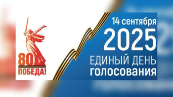 Избиратели Липецкой области смогут проголосовать на избирательных участках или через ДЭГ