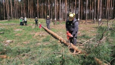 В Добровском районе проходят соревнования по рубке леса