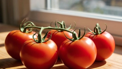 В тепличных комплексах Липецкой области собрано 95 тыс тонн овощей закрытого грунта