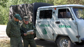 В Липецкой области учредят премии для лучших работников лесной отрасли