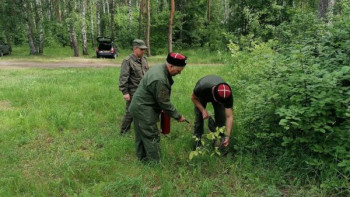 Липецкие казаки помогают предотвратить пожары в лесах 