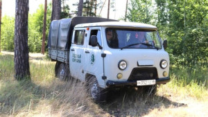 В Липецкой области введено ограничение на посещение лесов