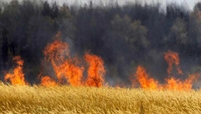 Пожар на пшеничном поле произошел в Воловском районе