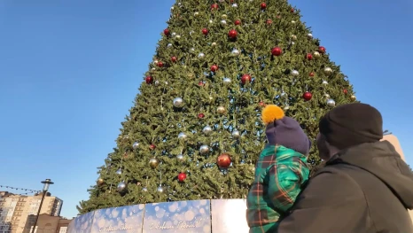 30 локаций Липецка оформят к новогодним праздникам