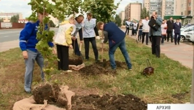 В районе Октябрьского моста высадили саженцы ивы, рябины, клена