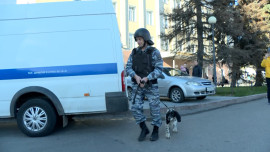 Липецкие школы получили сообщения о минировании