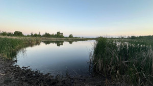 16-летний подросток утонул в пруду в Липецкой области