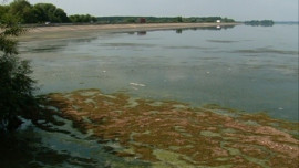 Причины замора рыбы в Матырском водохранилище выясняют специалисты