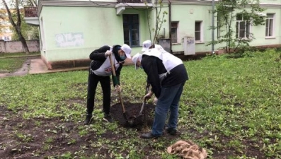 Для палисадников добровольцы подготовили более 300 саженцев