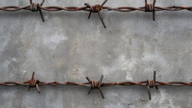 В Ельце женщина подозревается в мошенничестве при получении выплат по соцконтракту