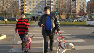 200 липчан с нарушением зрения получили от регионального отделения Соцфонда России средства реабилитации