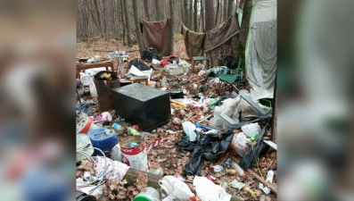 Более 40 свалок убрали в лесах Липецкой области за полгода