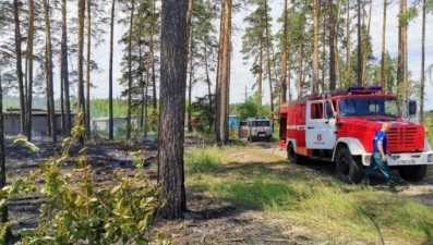 В Липецкой области введен запрет на посещение лесов