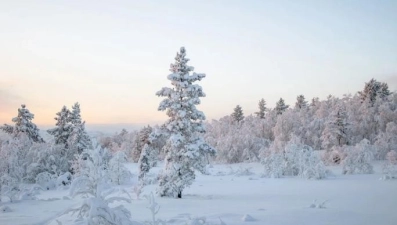 Сегодня -9С, небольшой снег, местами дымка