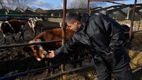 Фермер развивает молочный бизнес в Липецкой области благодаря господдержке