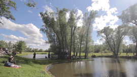 Село Кашары, "Клубничный фестиваль", джаз в усадьбе Скорняково-Архангельское