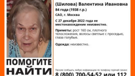 Пропавшую 84-летнюю москвичку ищут в Липецкой области