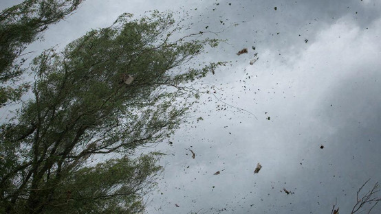Ураганный ветер в Липецке привёл к падению деревьев и повреждению линий освещения