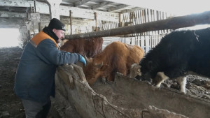 В Липецкой области открыли набор в «Школу фермера»