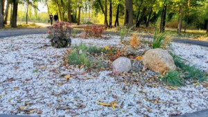 В районе Центрального пляжа обустраивают клумбы