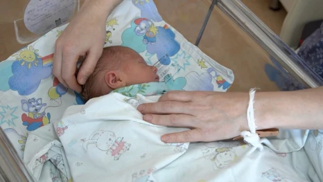 Многодетные мамы Липецкой области поделились своим опытом