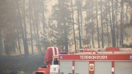 Сильный ветер мешает пожарным работать в Усманском районе