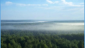 216 млн рублей на защиту экологии направит Липецкая область