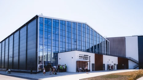 Липецкая область вошла в число лидеров рейтинга регионов РФ в сфере спорта за 2025 год