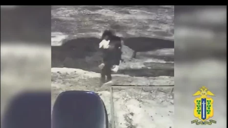 Липецкая полиция задержала пособницу мошенников, обманувших пенсионерку на 1,4 миллиона рублей