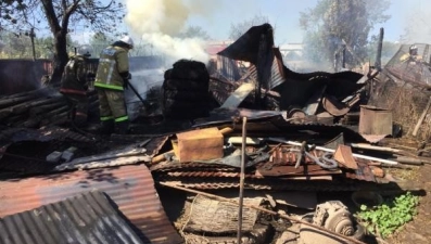 В Задонском районе сгорели хозяйственные постройки 