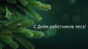 Игорь Артамонов и Владимир Сериков поздравили лесников с профессиональным праздником 